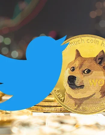 dogecoin twitter changed logo price surge elon musk